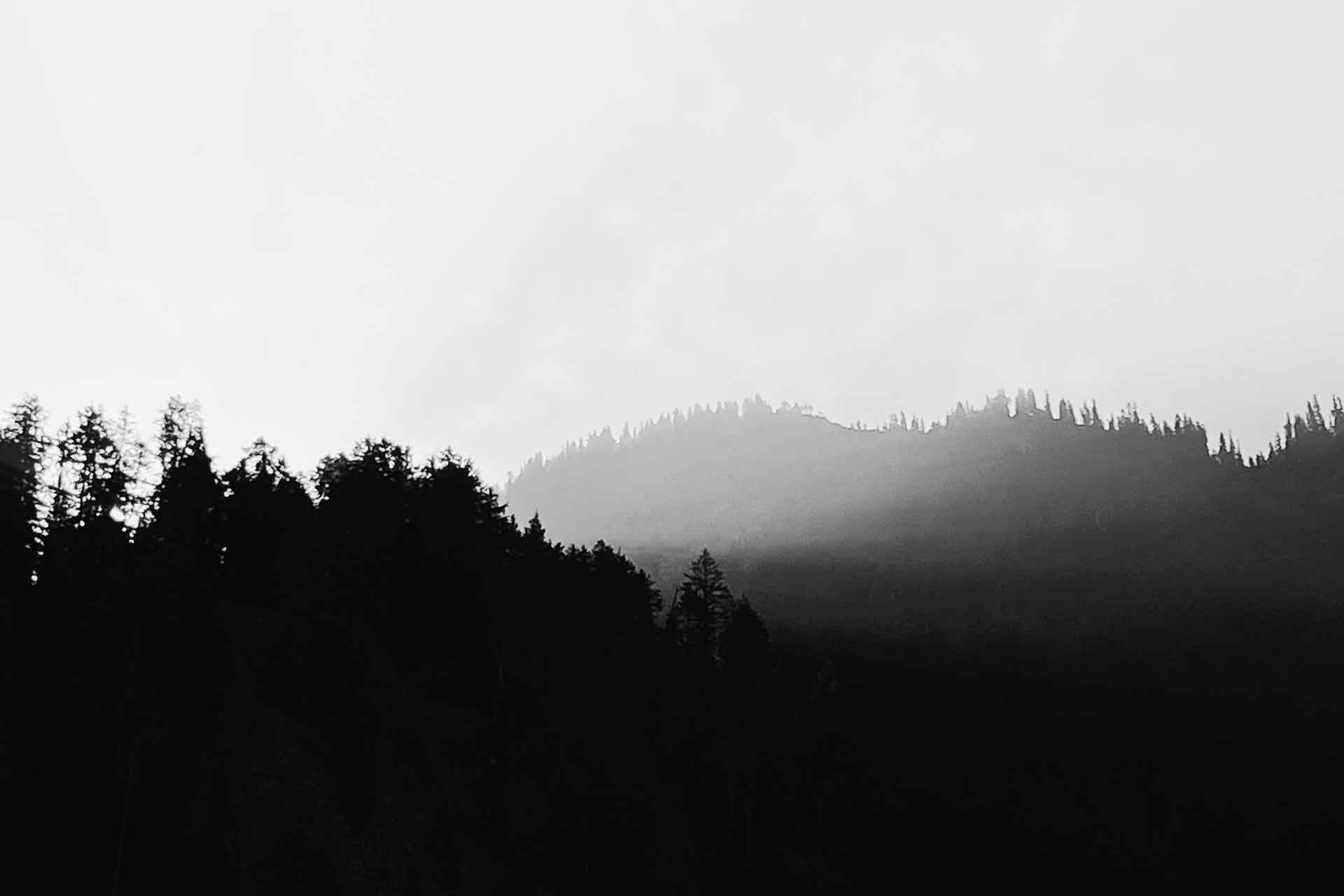 IMG_8177